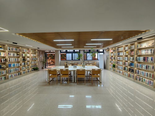 滁州瑯琊區(qū) 全民藝術(shù)普及 彰顯文化特色